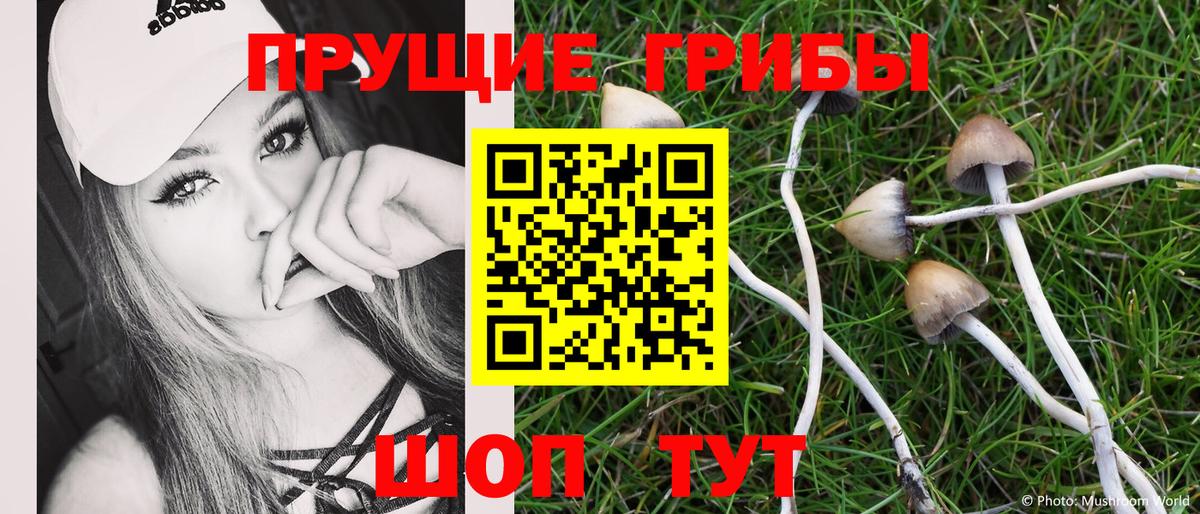 Псилоцибиновые грибы Magic Shrooms  Галлюциногенные грибы мухоморы  Вход с VPN  Кызыл 